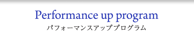 パフォーマンスアッププログラム